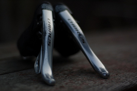 Campy_shifters